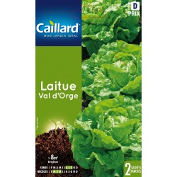 Graines Laitue Val D'Orge...