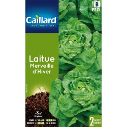 Graines Laitue Merveille...