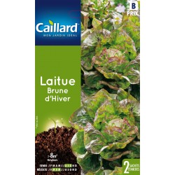 Graines Laitue Brune...