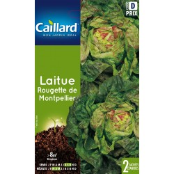 Graines Laitue Rougette De...