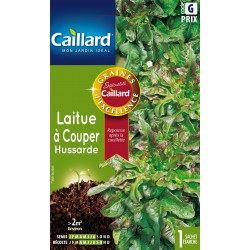Graines Laitue À Couper...