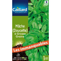 Graines Mache À Grosse...