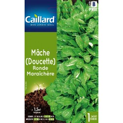 Graines Mache Ronde...