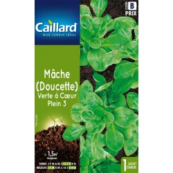 Graines Mache Verte À Coeur...