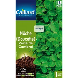 Graines Mache Verte De...