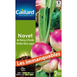 Graines Navet De Nancy À...