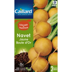 Graines Navet Jaune Boule...
