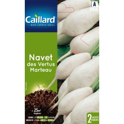 Graines Navet Des Vertus...