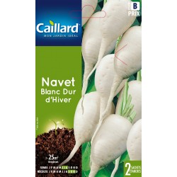 Graines Navet Blanc Dur...