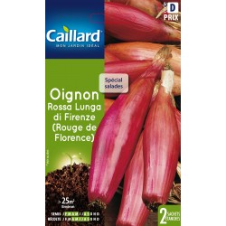 Graines Oignon Rouge Lunga...
