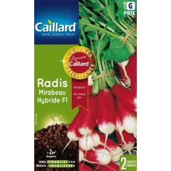 Graines Radis Mirabeau F1...