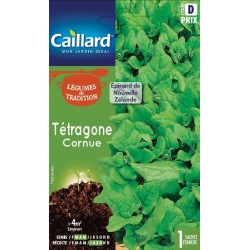 Graines Tetragone Cornue...