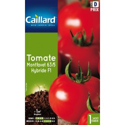Graines Tomate Montfavet...