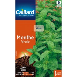 Graines Menthe Vraie -CAILLARD