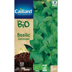 Graines Basilic Genovese Ab...