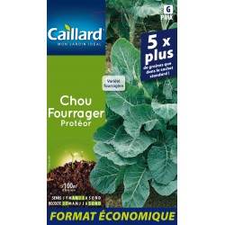 Graines Chou Fourrager...