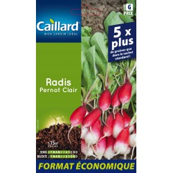Graines Radis Pernot Clair...