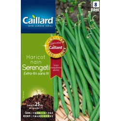 Graines Haricot Nain...