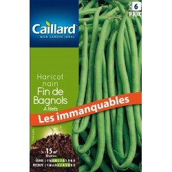 Graines Haricot Nain Fin De...