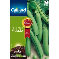 Graines Pois Prelado Nain...