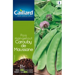 Graines Pois Carouby De...