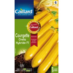 Graines Courgette Orelia F1...