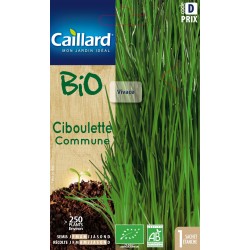 Graines Ciboulette Ab...