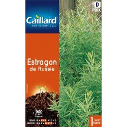 Graines Estragon De Russie...