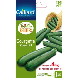 Graines Courgette Pixar F1...