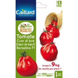 Graines Tomate Borsalina F1...