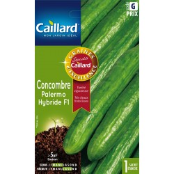 Graines Concombre Palermo...