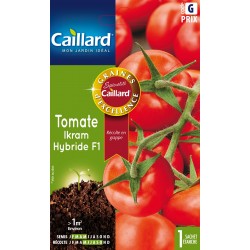 Graines Tomate Ikram F1...