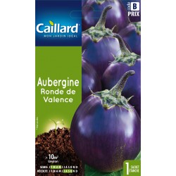 Graines Aubergine Ronde De...