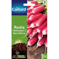 Graines Radis Flamboyant 2...