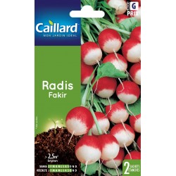 Graines Radis Fakir -CAILLARD