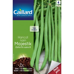 Graines Haricot Nain...