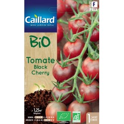 Graines Tomate Black Cherry...
