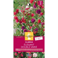 Graines Clarkia Élégant...