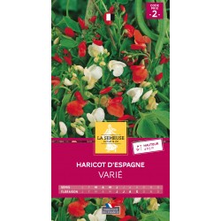 Graines Haricot D'Espagne...