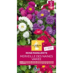 Graines Reine-Marguerite...