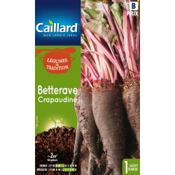 Graines Betterave...