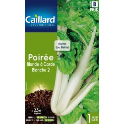 Graines Poiree Blonde À...