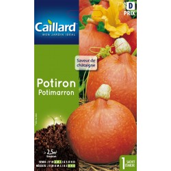Graines Potiron Potimarron...