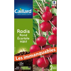 Graines Radis Rond Ecarlate...
