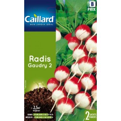 Graines Radis Gaudry 2...