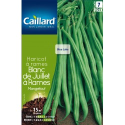Graines Haricot À Rames...