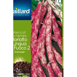 Graines Haricot A Rames A...