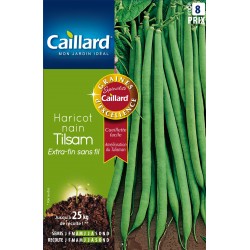 Graines Haricot Nain...