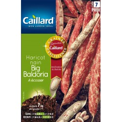 Graines Haricot Nain À...