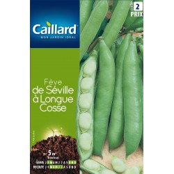 Graines Feve De Seville À...